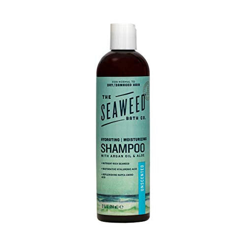 Sbc shamp moist unscnt ( 1 x 12 oz )